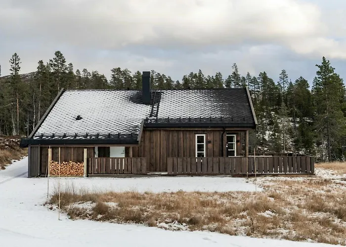 Familievennlig Hytte Ved Skiloypene Pa Fla Flå
